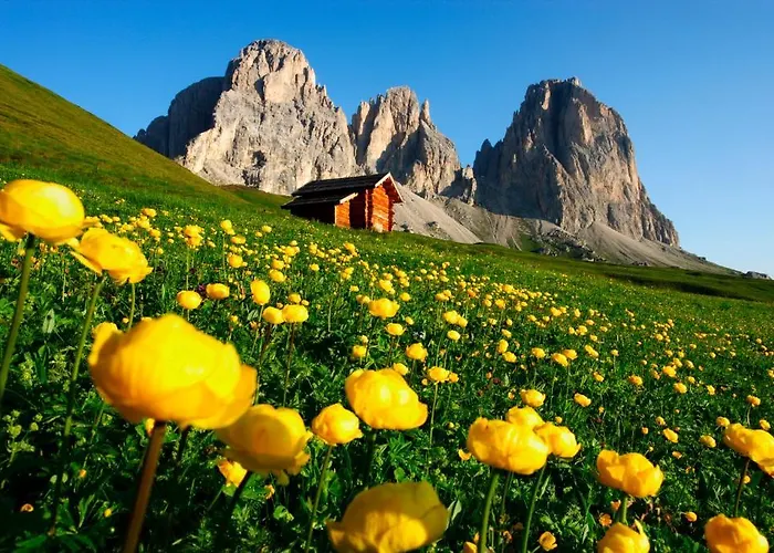 Col Di Lana 2* Canazei